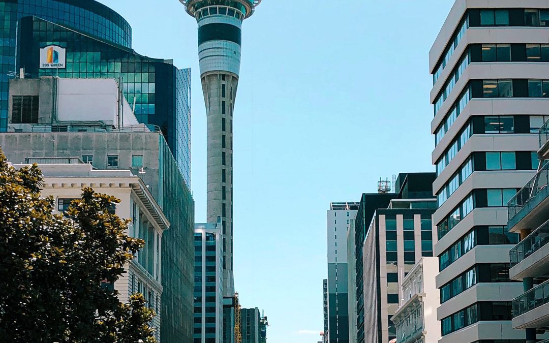The 4 Best Group Tours in Auckland