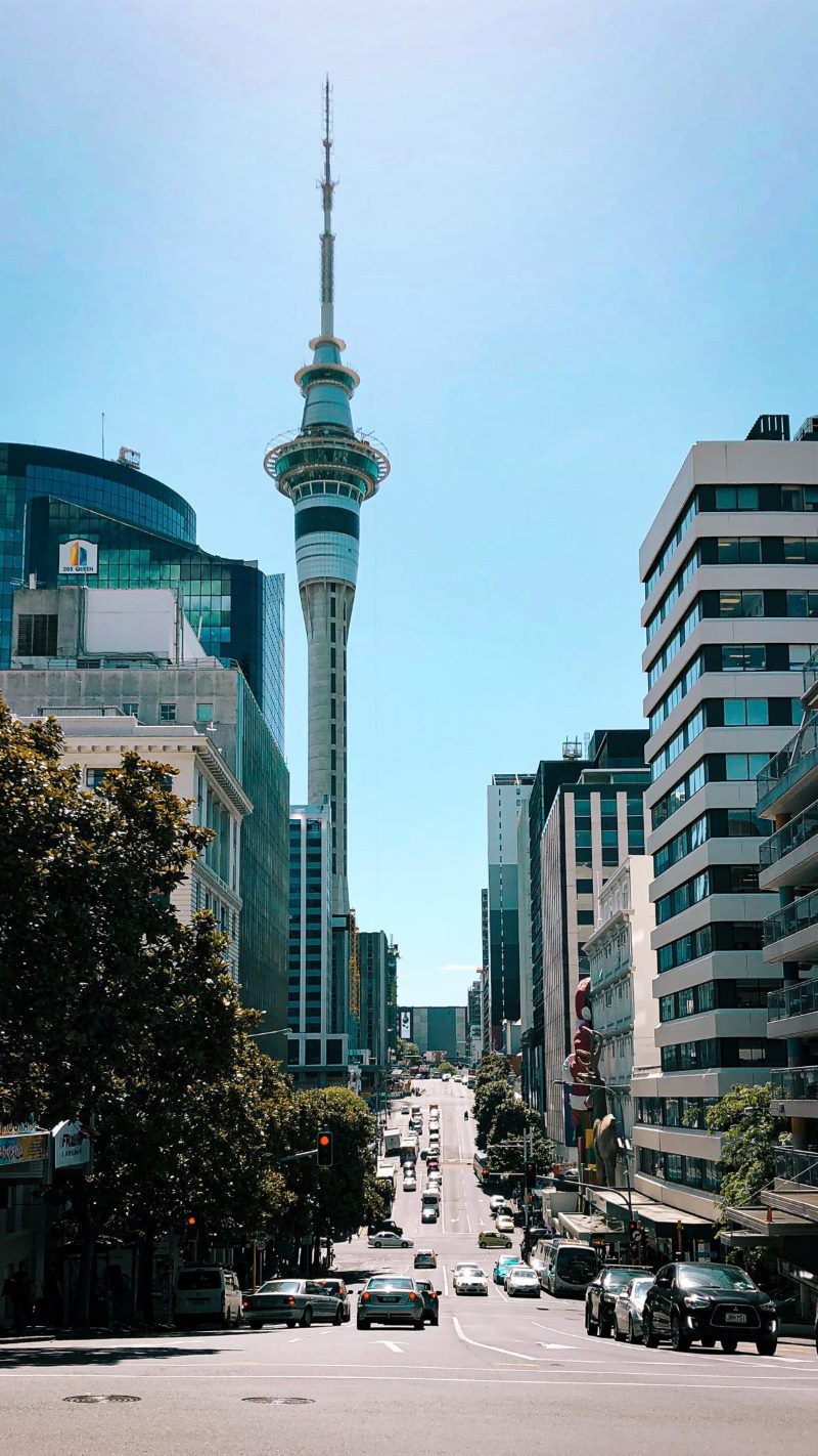 The 4 Best Group Tours in Auckland