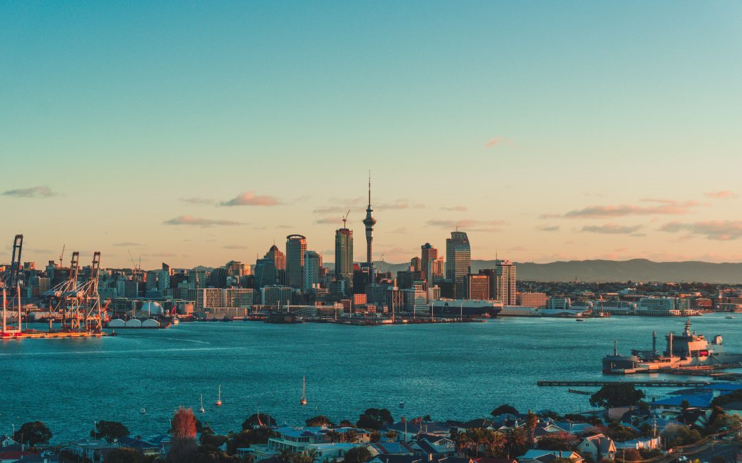 The 1 Best Motorized City Tours in Auckland