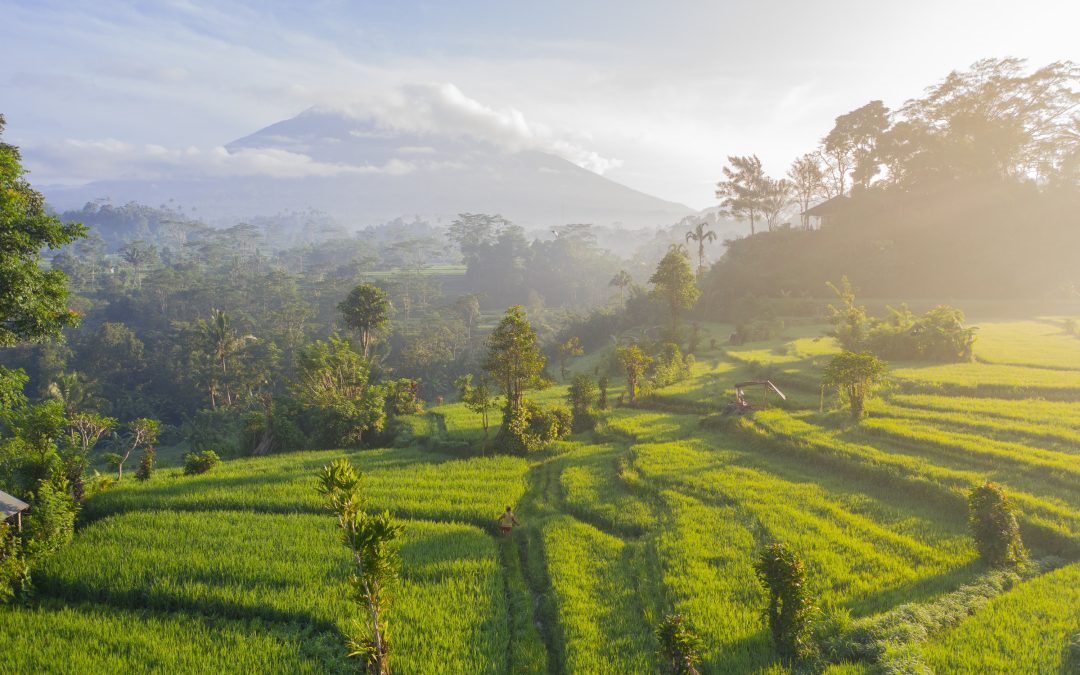 The 2 Best Family Activities in Bali