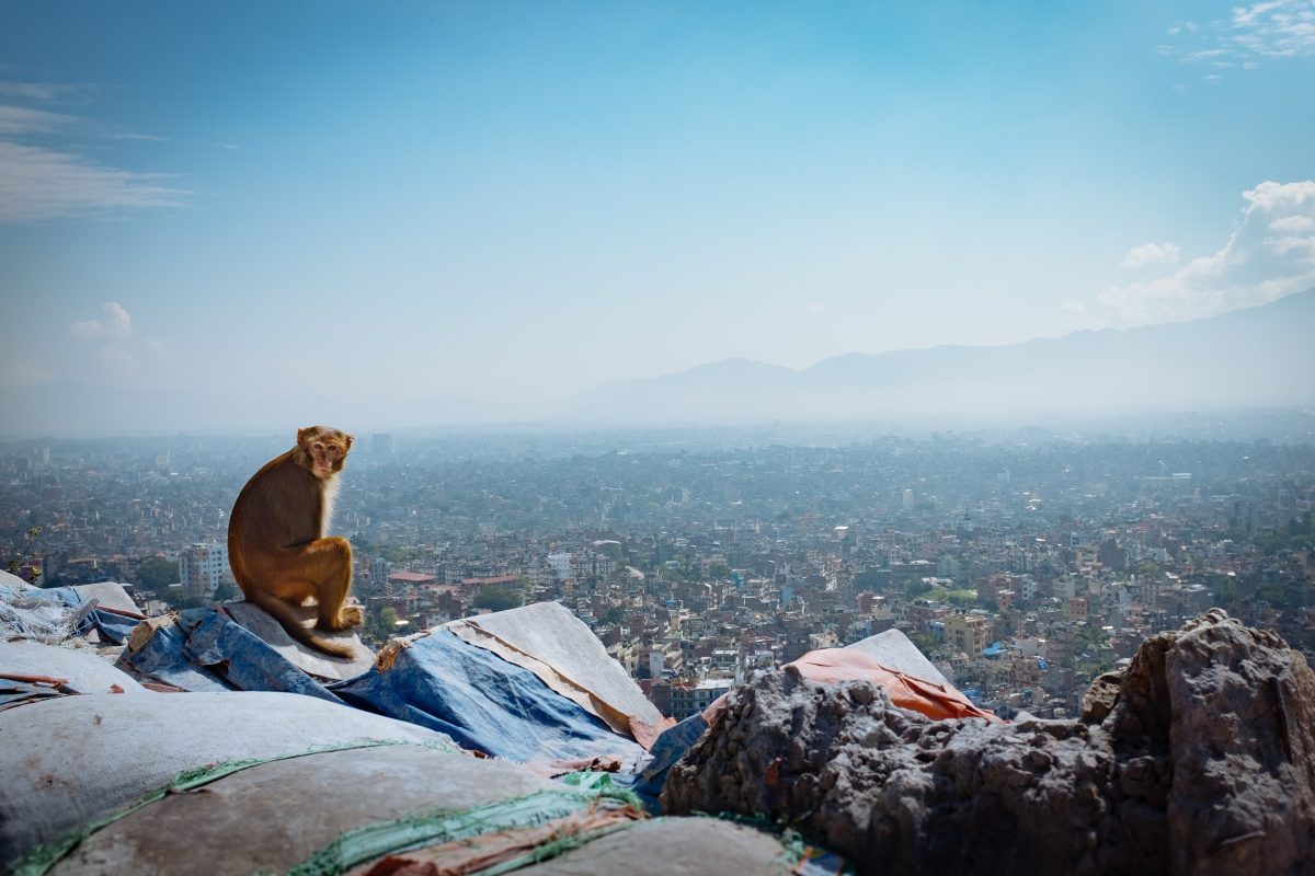 Kathmandu18 scaled