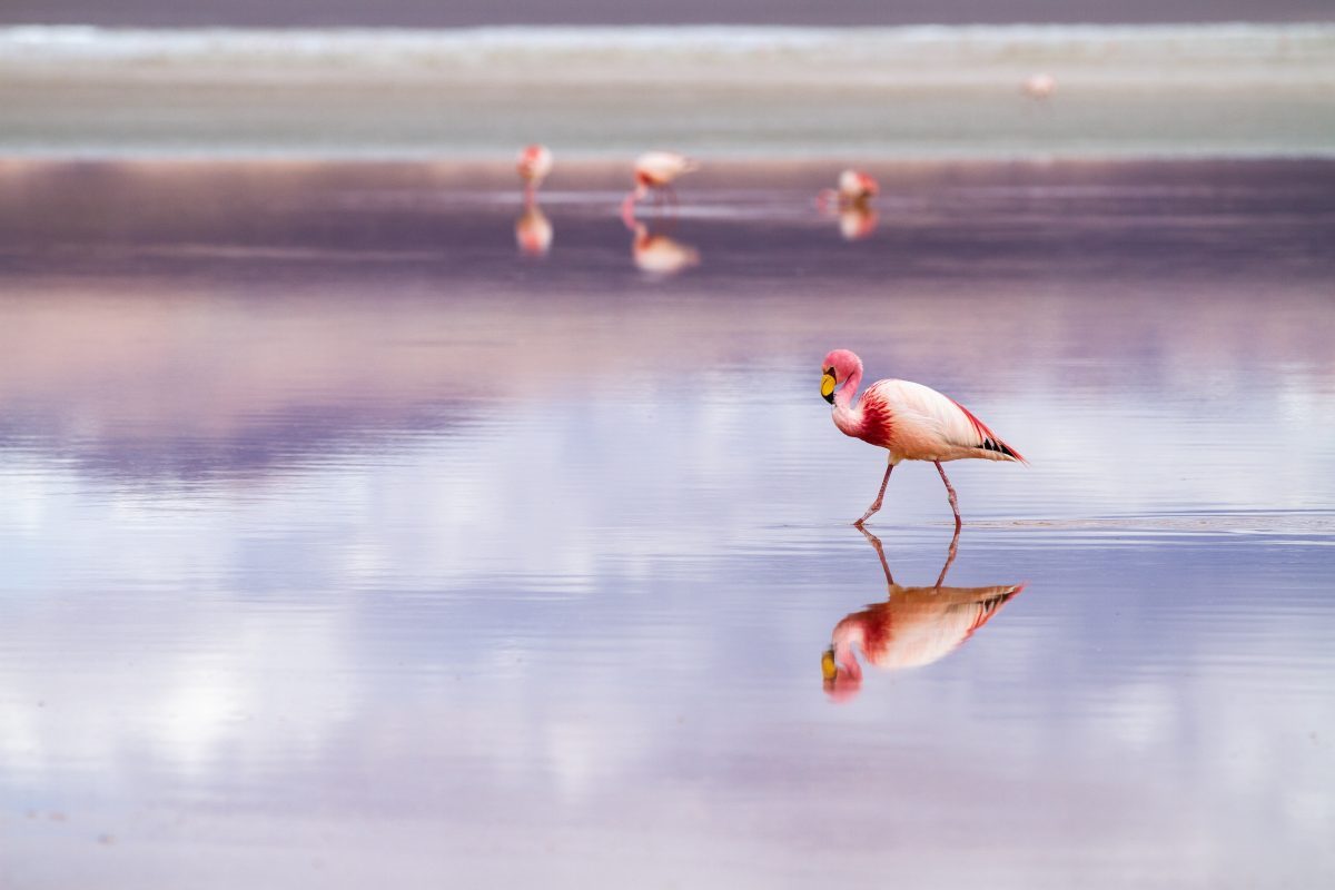 Uyuni8 scaled