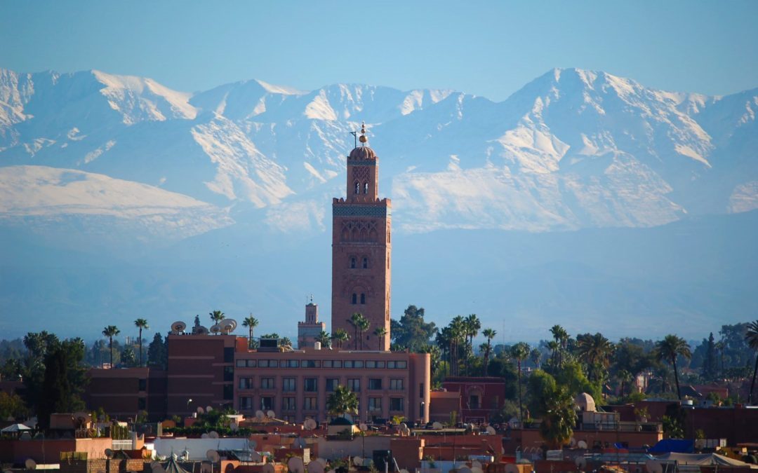 The 3 Best Transfers in Marrakech