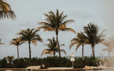 The 9 Best Unusual Things To Do In Nassau