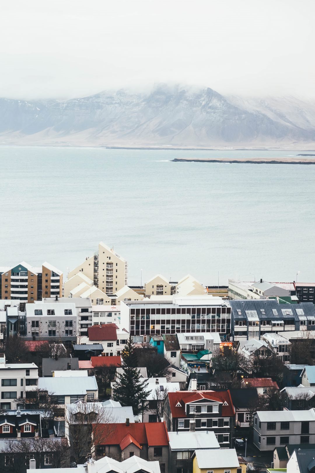 Reykjavik12