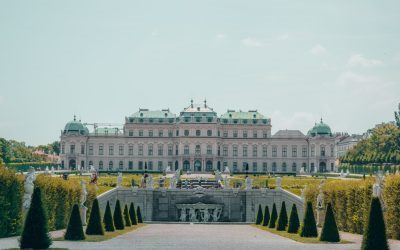 Experience the Ultimate Evening in Vienna with a 3-Course Dinner Cruise
