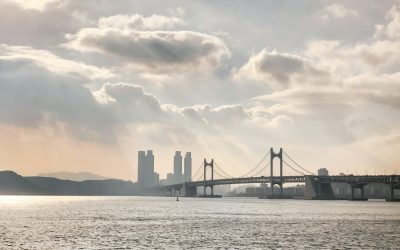 Languages Spoken in Busan