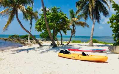 What to Know about the Attractions in Key West?